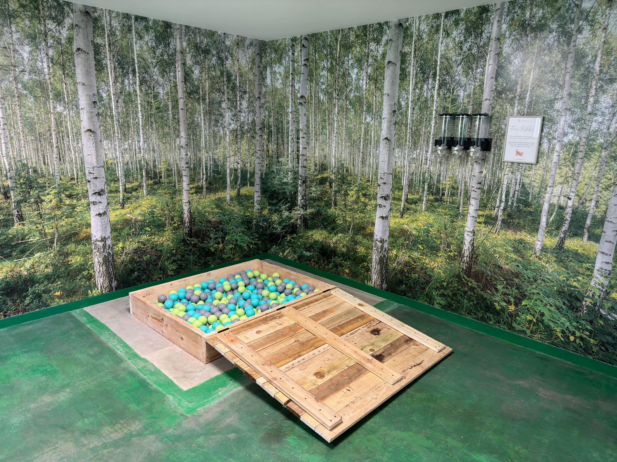 Indoor Dog Park - Available to book for 30 or 60 minute sessions for solo or group use.